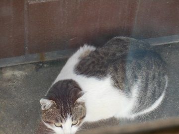 3月3日(18)