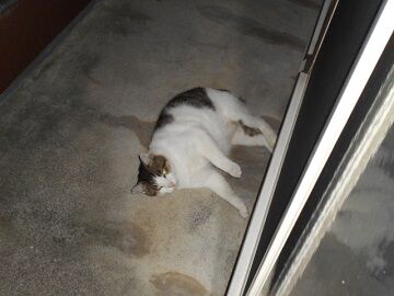 9月23日（21-1）仮