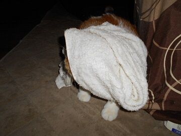 9月24日（5-10）仮