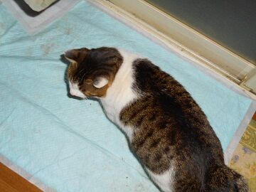 12月20日（18）仮