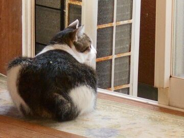 9月11日（6-2）仮