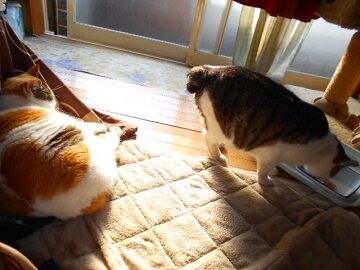 4月30日（28）仮