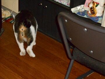 9月13日（49）仮