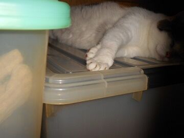 9月13日（23-2）仮