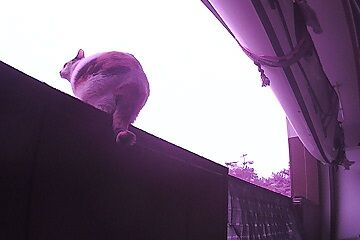 12月30日（5.7）仮