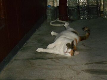 9月30日（20-7）仮