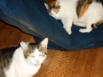 9月16日（24）仮