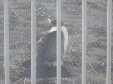 3月7日(6)仮