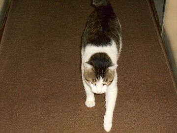 9月10日（28）仮