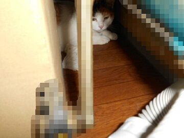 8月29日（23）仮