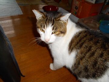 12月19日（3）仮