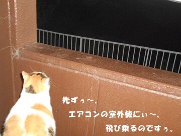 9月26日（20-10）仮