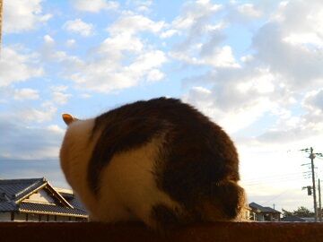 12月29日（34）仮