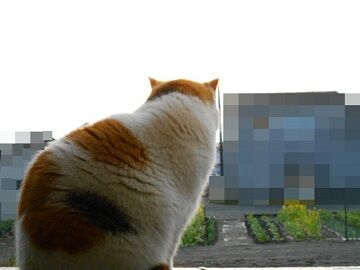 0322-12仮