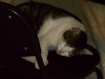 9月26日（10-2）仮