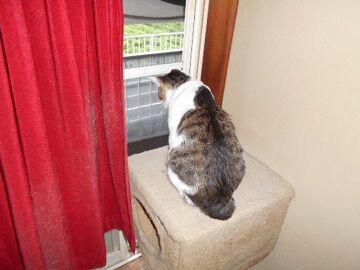 7月14日（19）仮