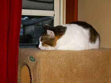 10月15日（3）仮