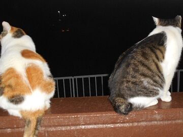 9月20日（2-2）仮