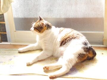 5月24日（10）仮