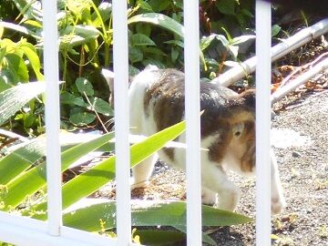 6月13日（13）仮