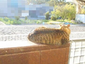 4月18日(55)仮