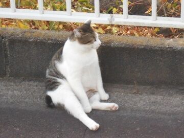 9月30日（31）仮