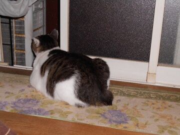 10月9日（20-1）仮