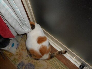 10月1日（18-3）仮