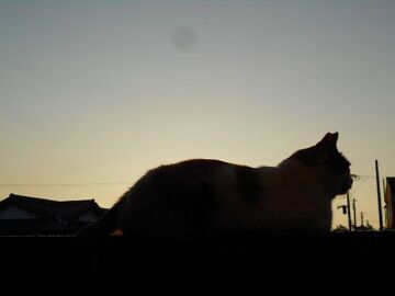 8月24日（19）仮