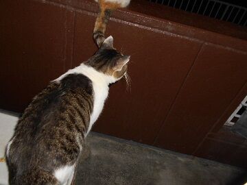 9月3日（2－5）仮