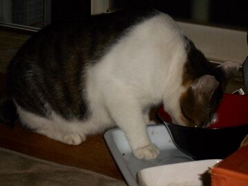 9月12日（22-3）仮