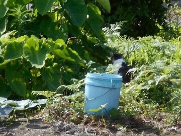 7月10日（21）仮