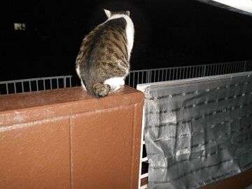 9月10日（18-6）仮