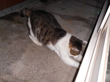 10月7日（22-14）仮