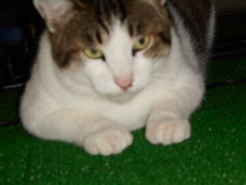 9月16日（25）仮