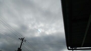 11月24日（26）仮