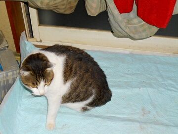 12月9日（41）仮