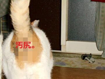 10月6日（33）仮