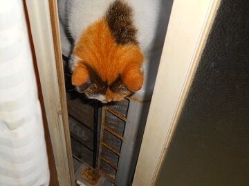 5月10日（30）仮