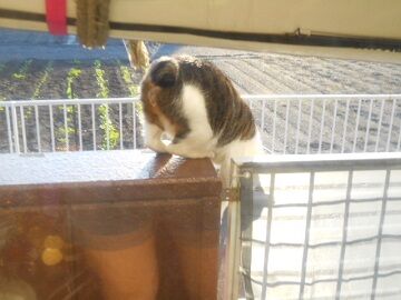 11月10日(20)使用