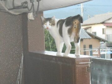 10月4日（69）仮