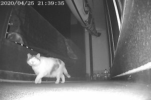 4月25日（27）仮