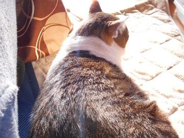 4月30日（29）仮