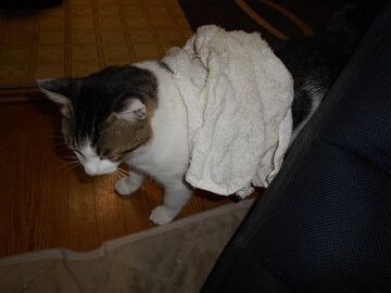 9月22日（20-1）仮