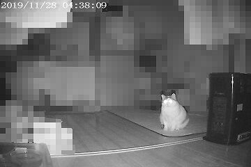 11月28日（28）仮