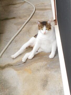 10月20日（31）仮