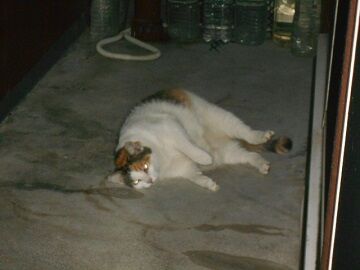 9月23日（20-5）仮