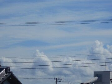 9月11日（9-6）仮