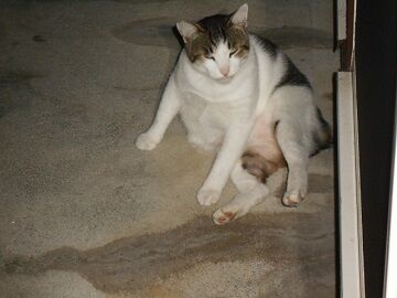 9月21日（20-18）仮