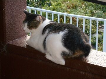 9月8日（6-7）仮